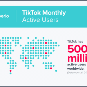 With around 500 million active users, Tik Tok has gained a huge amount of success