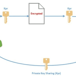 cryptographic encryption mechanisms
