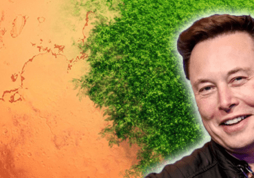 elon-musk-on-mars