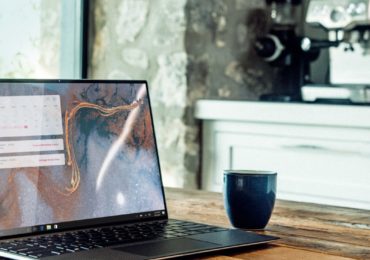 web design vs development