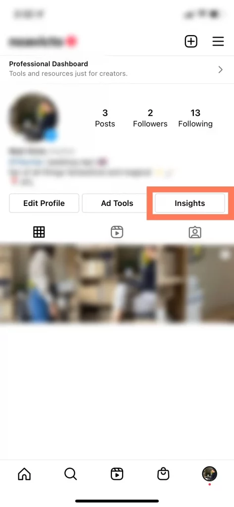 Instagram Insights Button