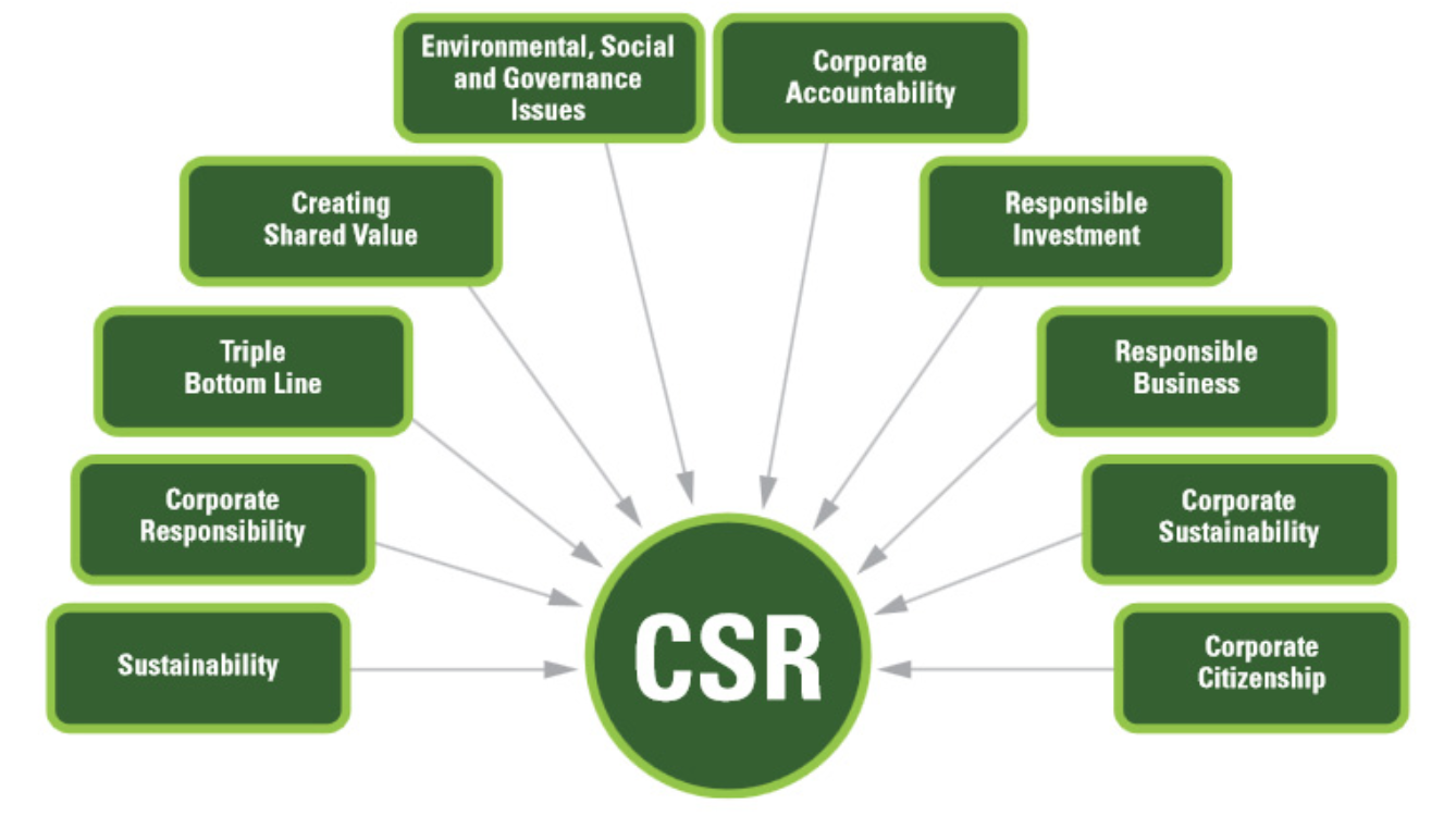 CSR Meaning: All You Need to Know | Socialnomics