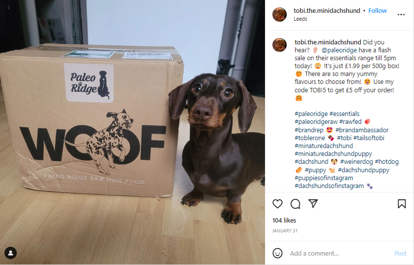 Animal brand ambassador, a dachshund, stand's beside a large cardboard box that says "Woof".
