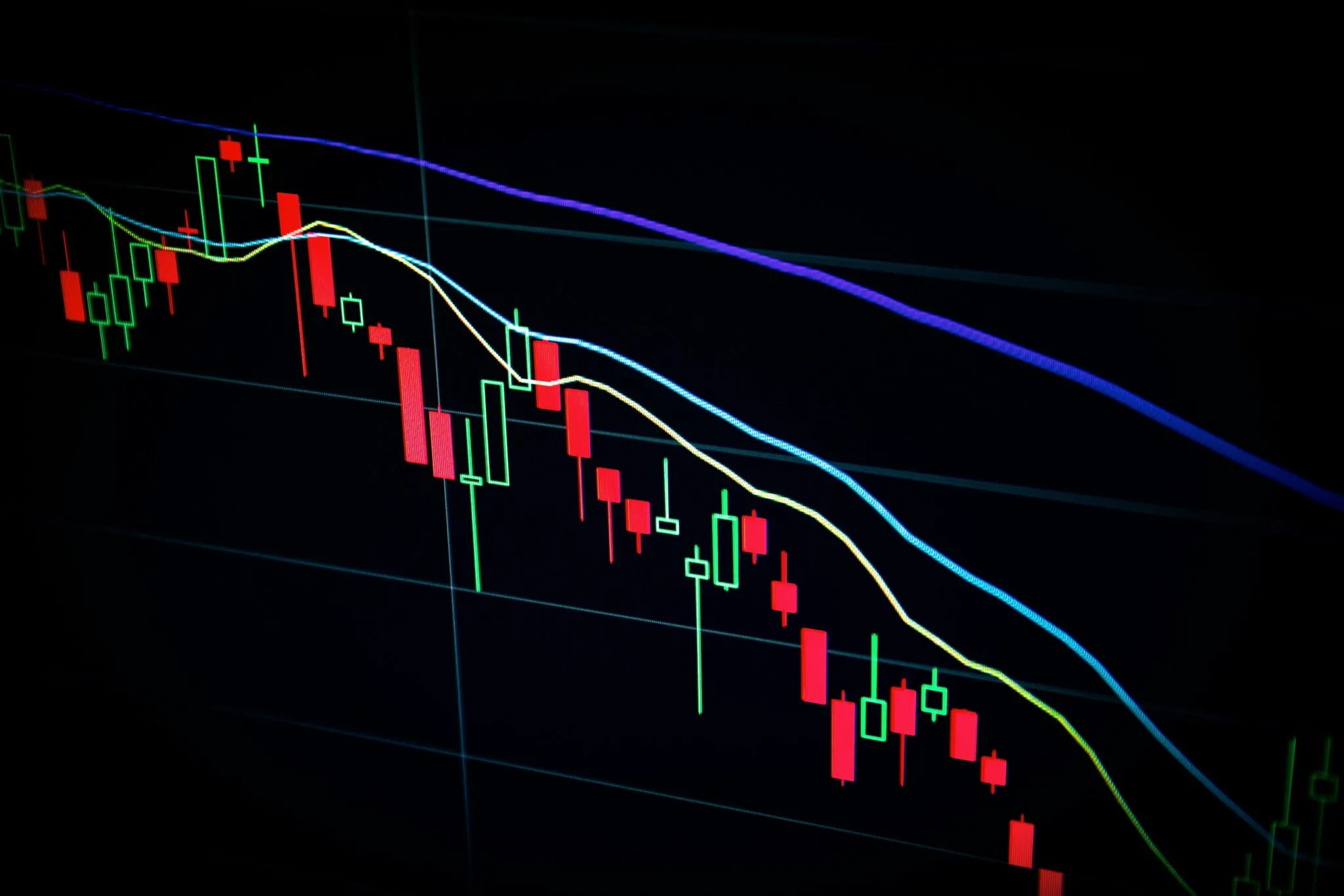 Investor's Compass: Navigating Your Way with Asset Allocation