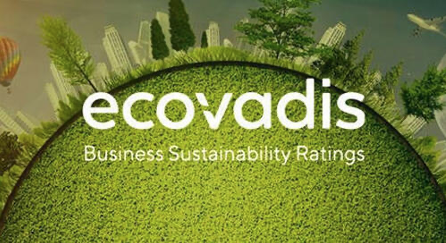 How Suppliers Can Leverage EcoVadis Scores to Accelerate Sustainability Improvements?