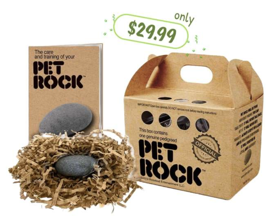 pet rock for people