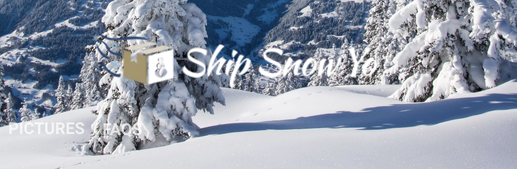 Ship Snow