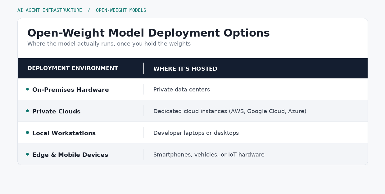 Open-Weight Model Deployment Options